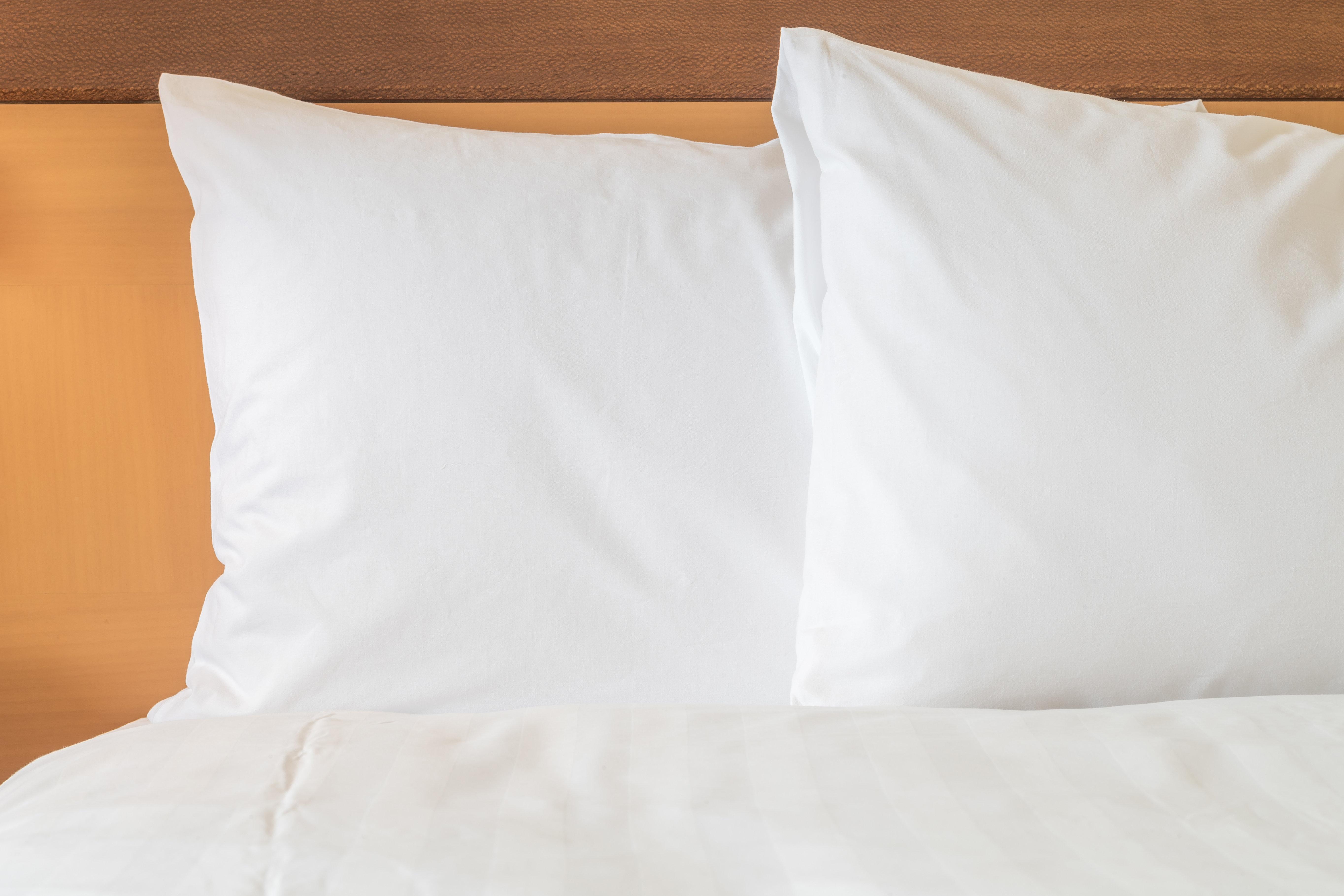 Holiday Inn Express Hotel & Suites Chatham South By Ihg Екстер'єр фото